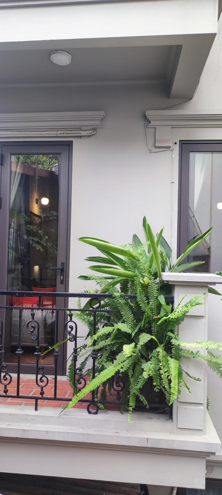 האנוי T Home Balcony Homestay מראה חיצוני תמונה